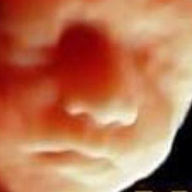 firstglance3d4d logo